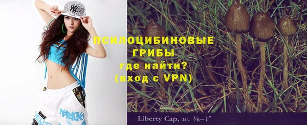 метамфетамин Белокуриха