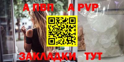 мет Кингисепп