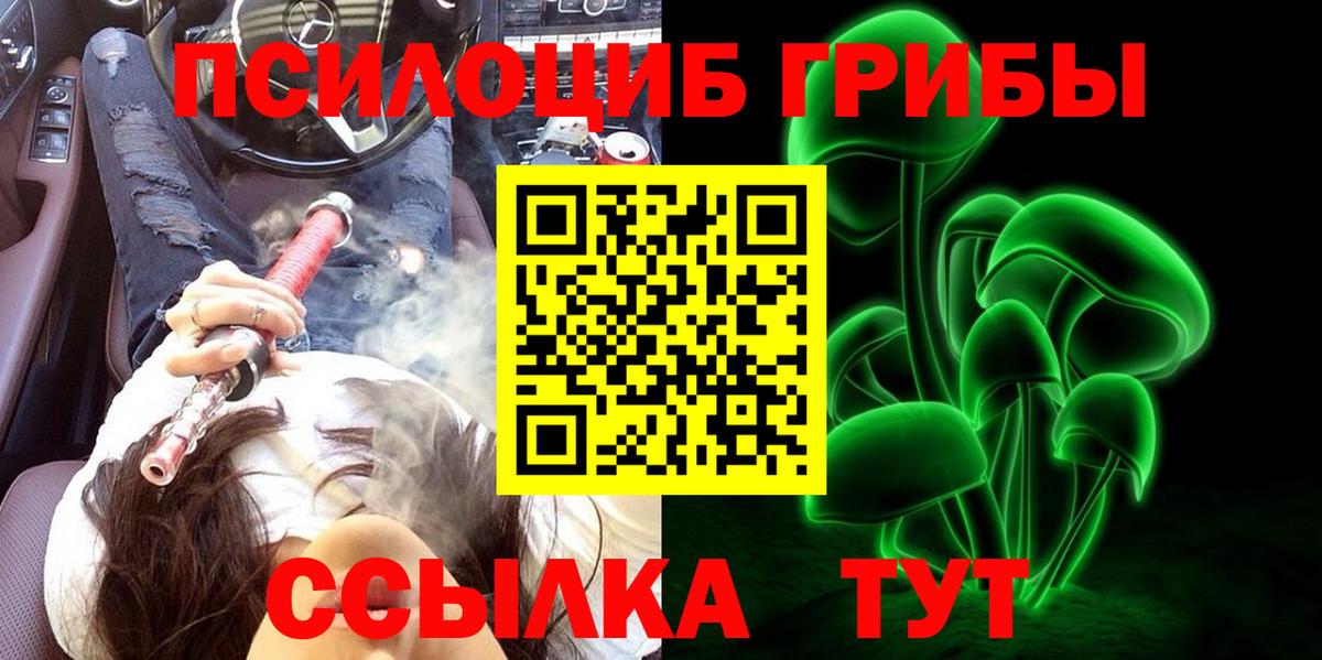 Галлюциногенные грибы Psilocybine cubensis Гусев