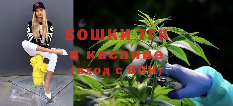 Марихуана SATIVA & INDICA  Гусев 